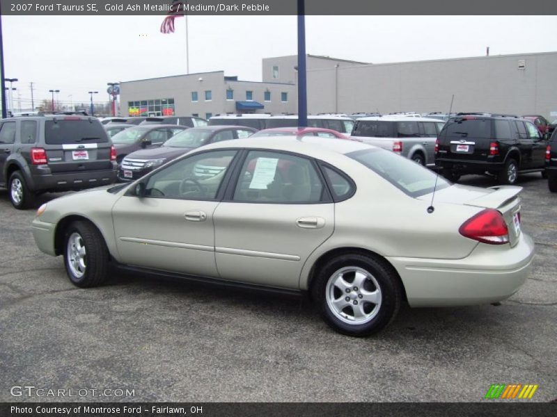 Gold Ash Metallic / Medium/Dark Pebble 2007 Ford Taurus SE