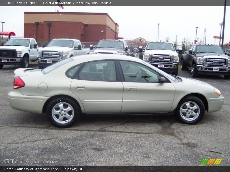 Gold Ash Metallic / Medium/Dark Pebble 2007 Ford Taurus SE