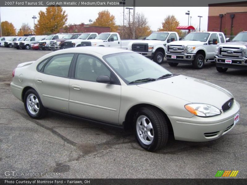 Gold Ash Metallic / Medium/Dark Pebble 2007 Ford Taurus SE