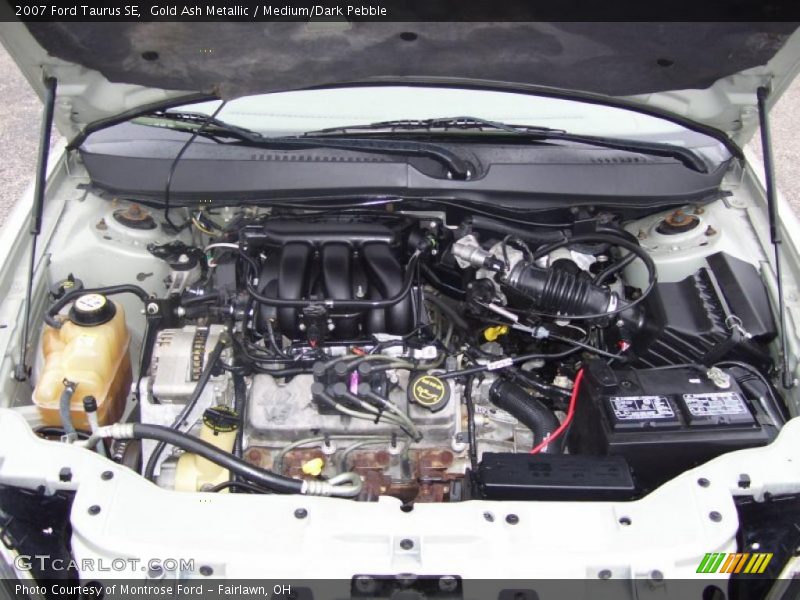 Gold Ash Metallic / Medium/Dark Pebble 2007 Ford Taurus SE