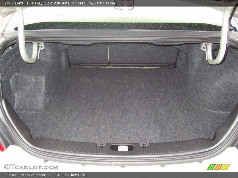 Gold Ash Metallic / Medium/Dark Pebble 2007 Ford Taurus SE