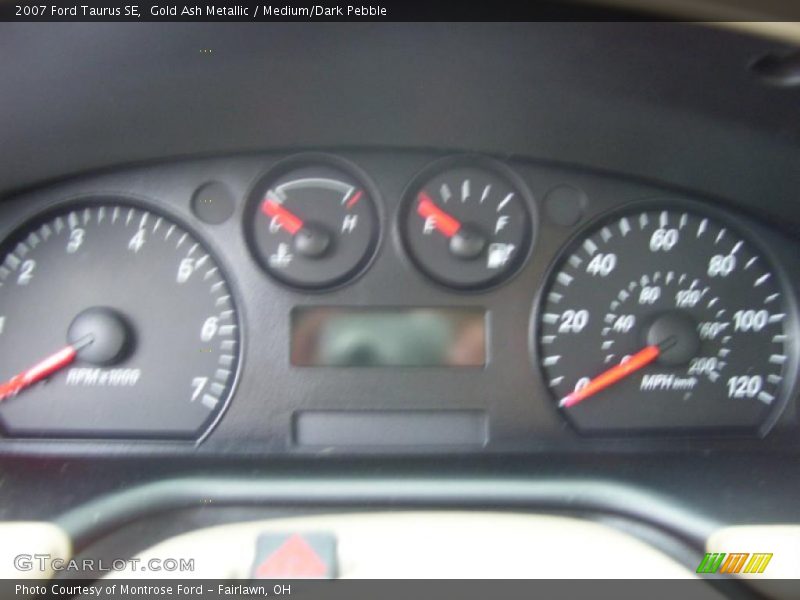 Gold Ash Metallic / Medium/Dark Pebble 2007 Ford Taurus SE