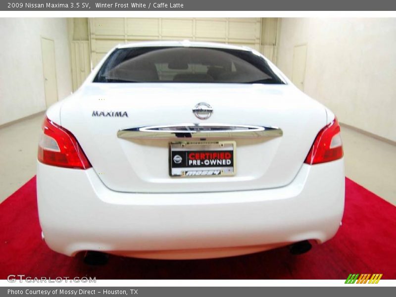 Winter Frost White / Caffe Latte 2009 Nissan Maxima 3.5 SV