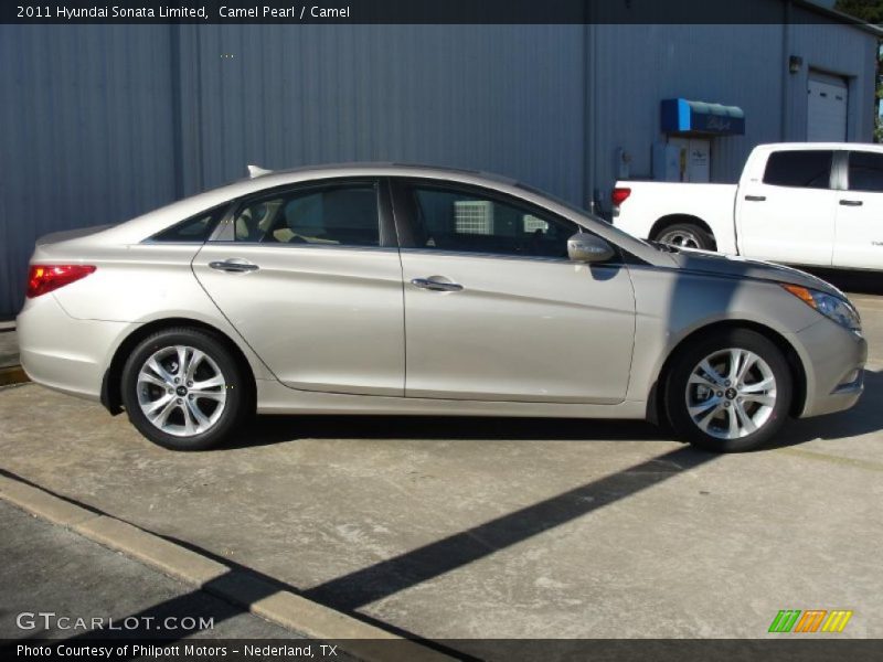 Camel Pearl / Camel 2011 Hyundai Sonata Limited