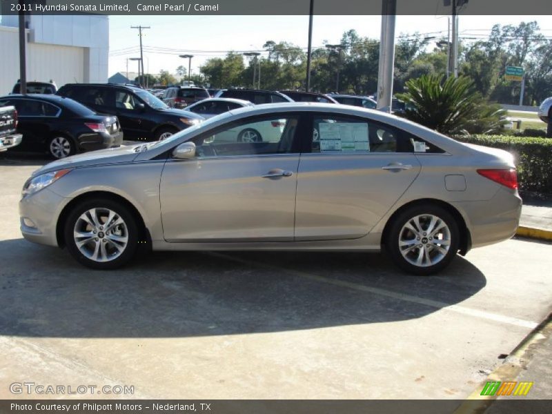 Camel Pearl / Camel 2011 Hyundai Sonata Limited