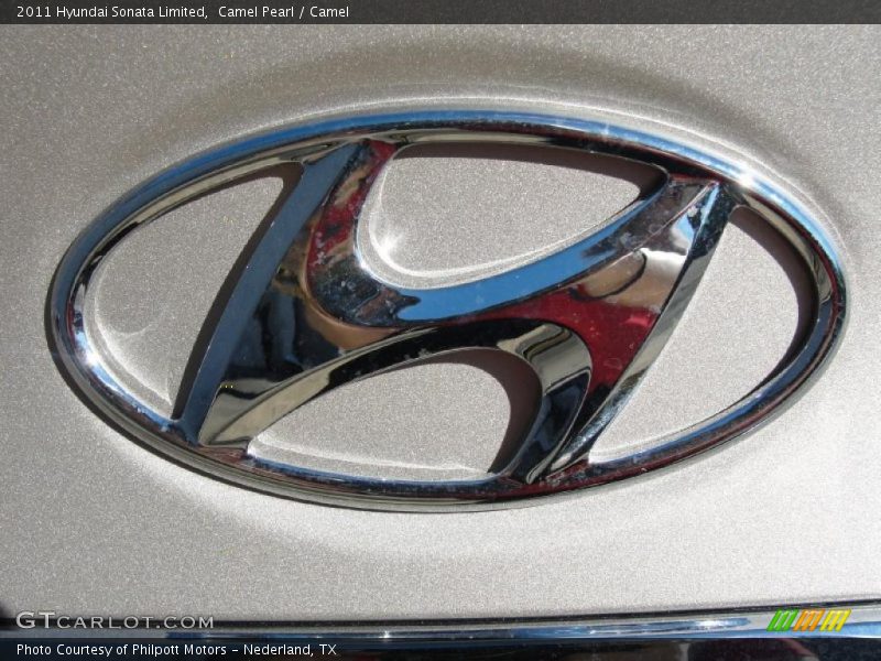 Camel Pearl / Camel 2011 Hyundai Sonata Limited