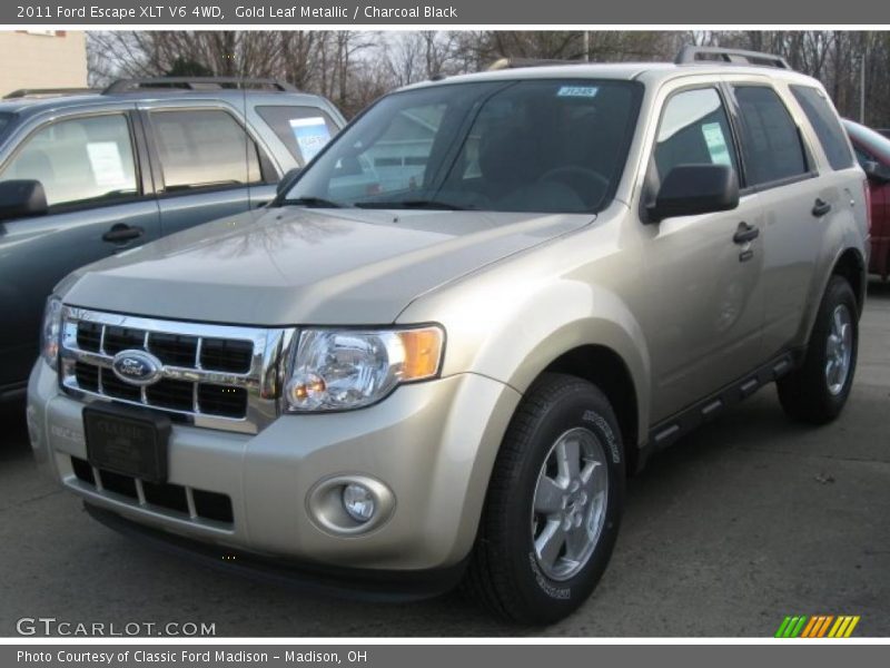 Gold Leaf Metallic / Charcoal Black 2011 Ford Escape XLT V6 4WD