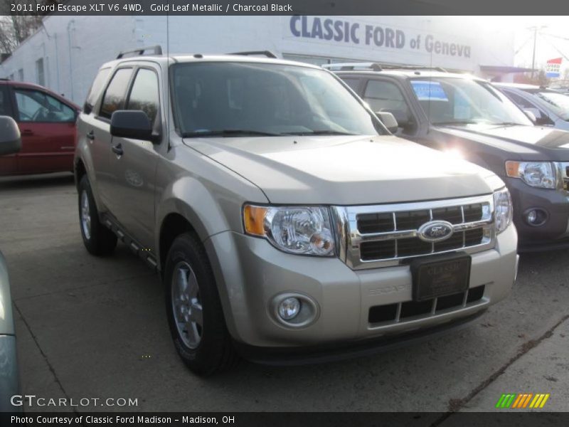 Gold Leaf Metallic / Charcoal Black 2011 Ford Escape XLT V6 4WD