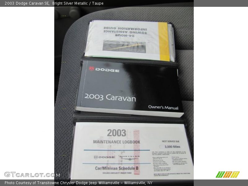 Bright Silver Metallic / Taupe 2003 Dodge Caravan SE
