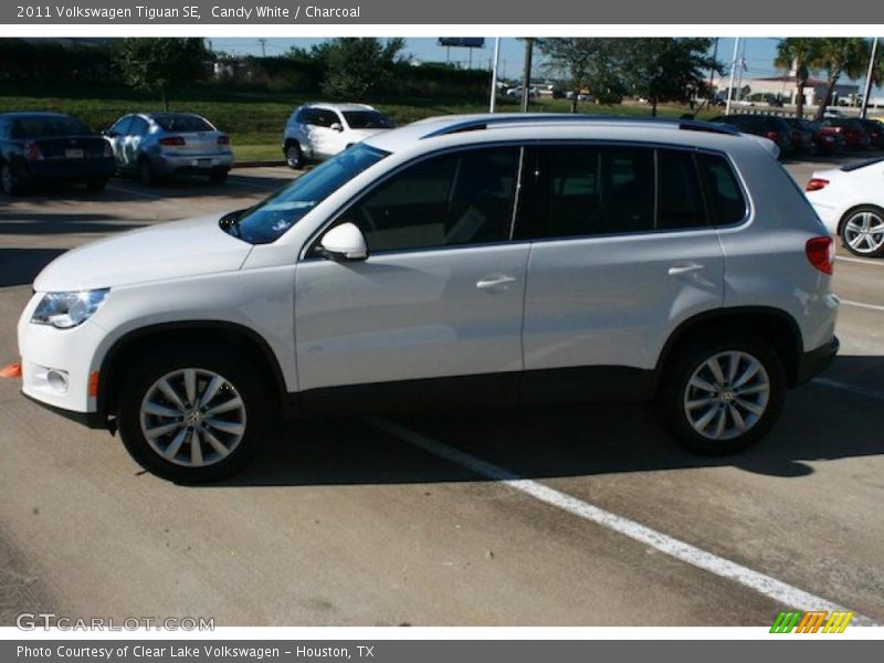 Candy White / Charcoal 2011 Volkswagen Tiguan SE