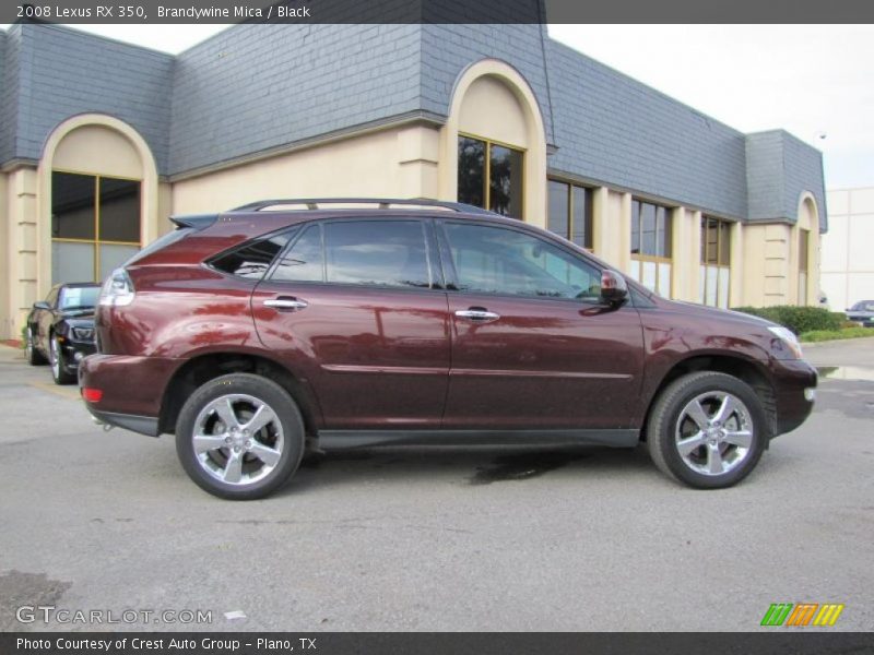  2008 RX 350 Brandywine Mica