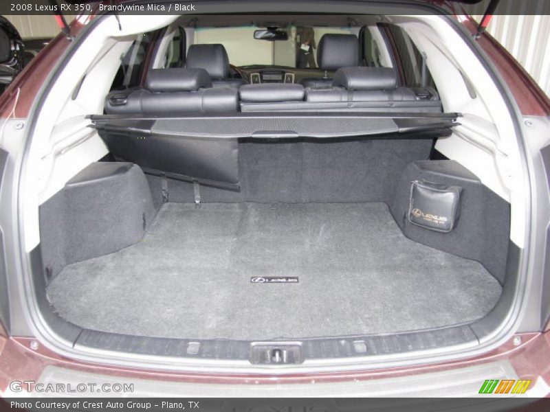  2008 RX 350 Trunk