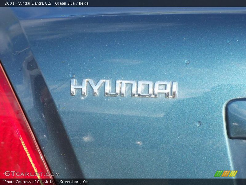 Ocean Blue / Beige 2001 Hyundai Elantra GLS