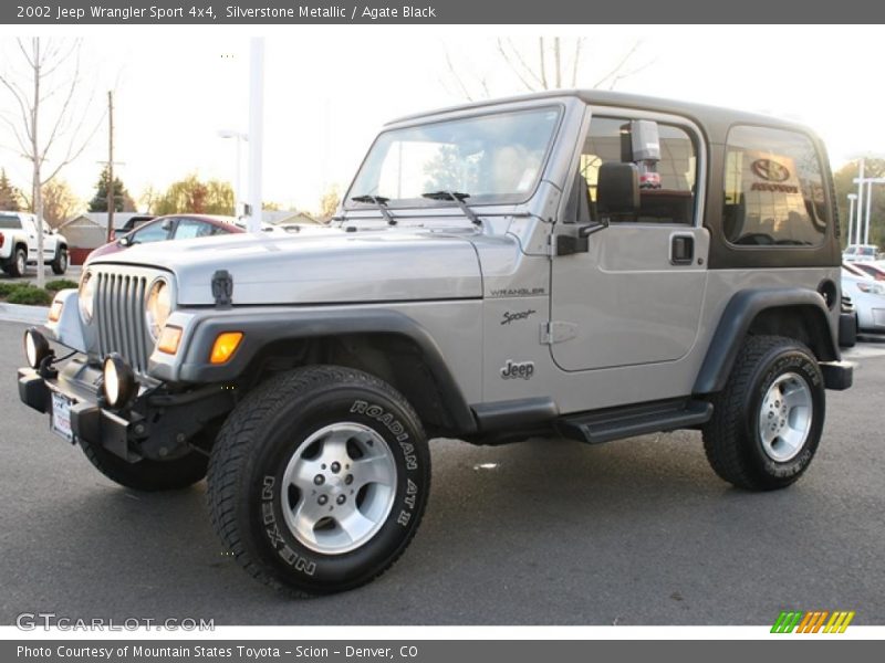 Silverstone Metallic / Agate Black 2002 Jeep Wrangler Sport 4x4