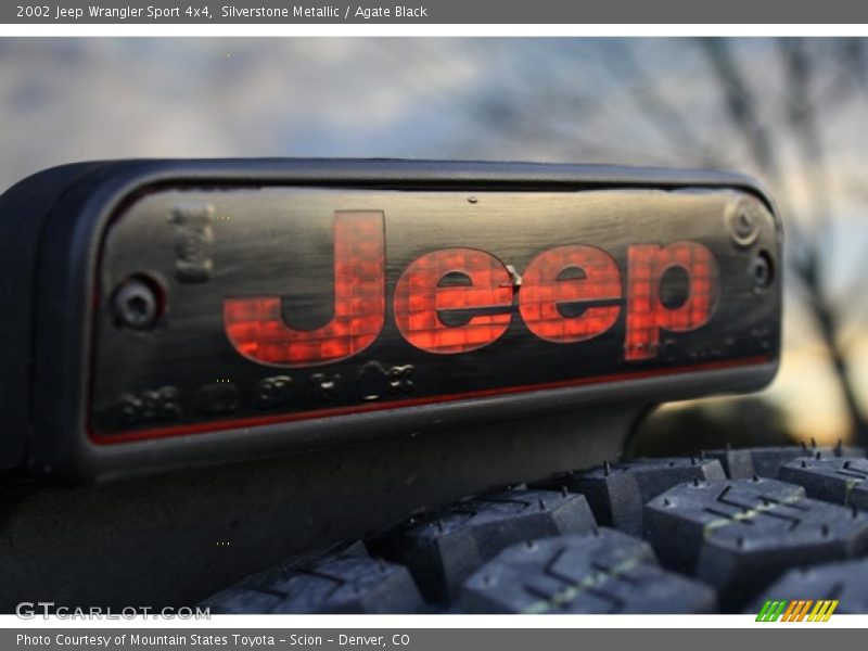 Silverstone Metallic / Agate Black 2002 Jeep Wrangler Sport 4x4
