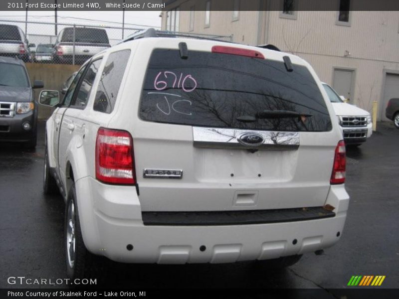 White Suede / Camel 2011 Ford Escape Limited 4WD