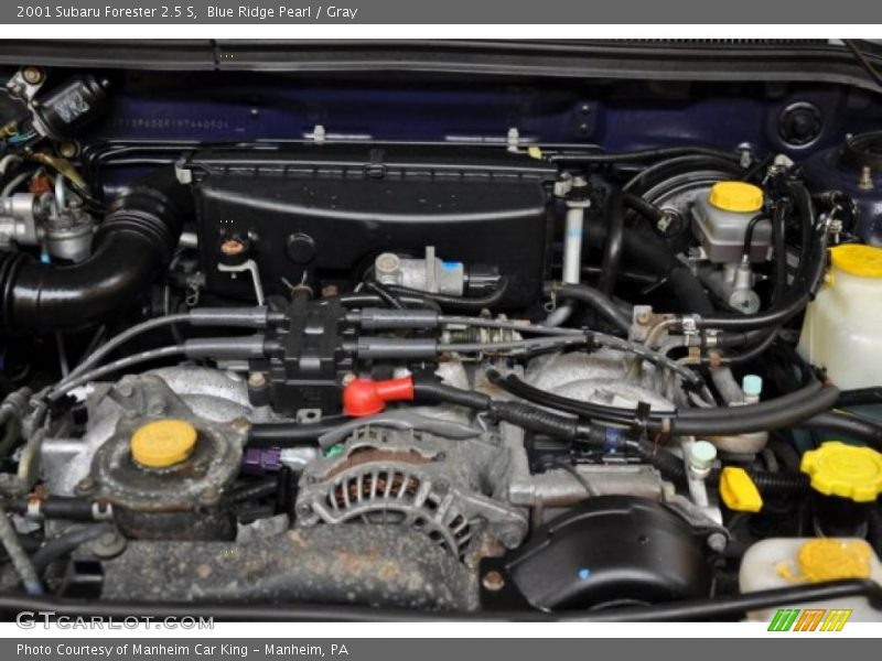Blue Ridge Pearl / Gray 2001 Subaru Forester 2.5 S