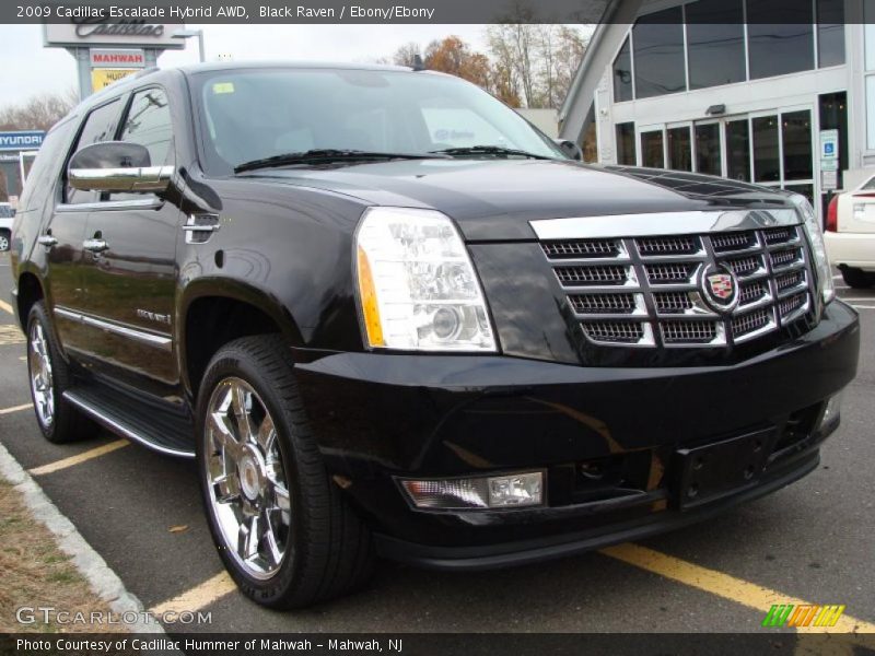Black Raven / Ebony/Ebony 2009 Cadillac Escalade Hybrid AWD