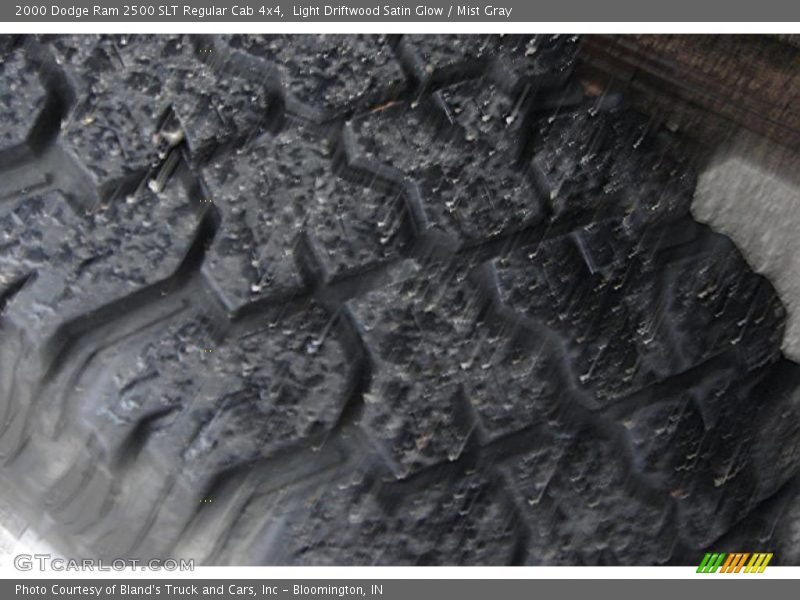 Light Driftwood Satin Glow / Mist Gray 2000 Dodge Ram 2500 SLT Regular Cab 4x4