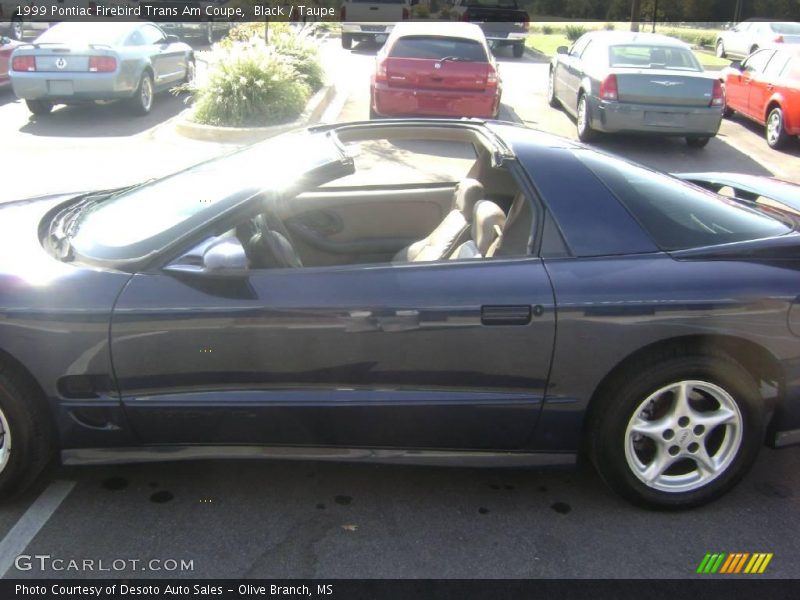 Black / Taupe 1999 Pontiac Firebird Trans Am Coupe