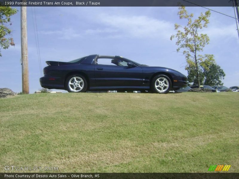 Black / Taupe 1999 Pontiac Firebird Trans Am Coupe