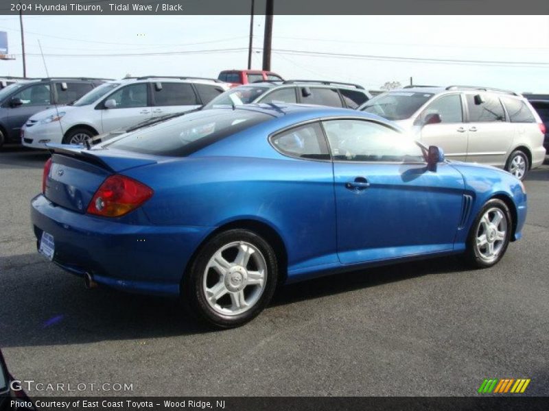  2004 Tiburon  Tidal Wave
