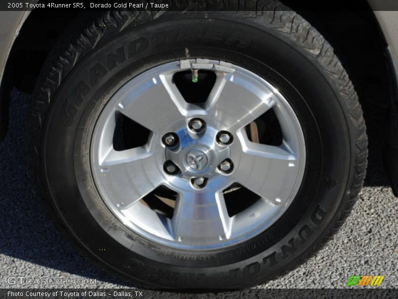 Dorado Gold Pearl / Taupe 2005 Toyota 4Runner SR5