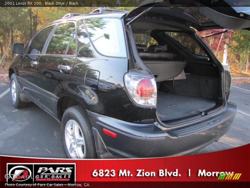 Black Onyx / Black 2001 Lexus RX 300
