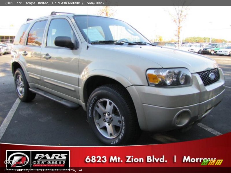 Gold Ash Metallic / Ebony Black 2005 Ford Escape Limited