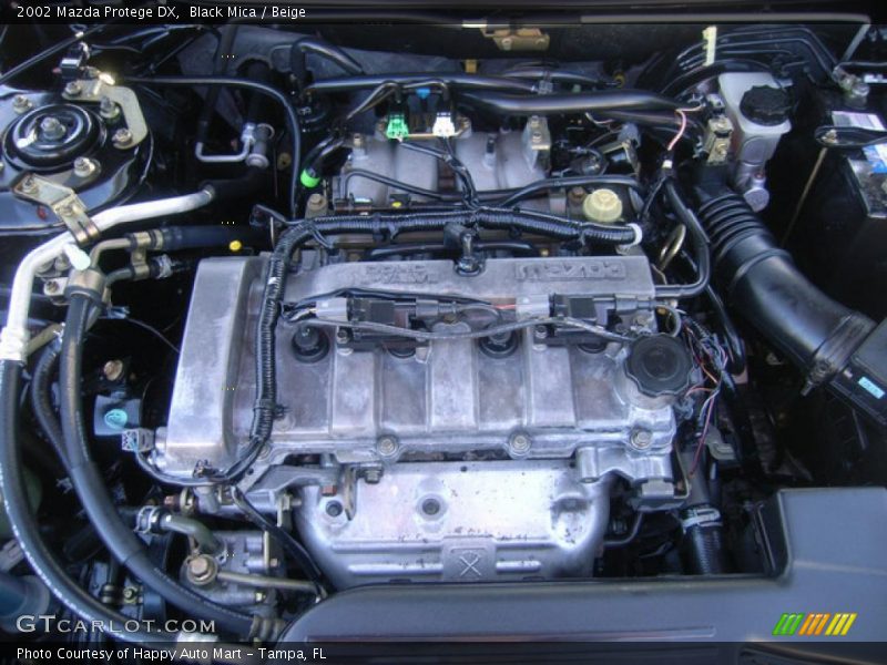 Black Mica / Beige 2002 Mazda Protege DX