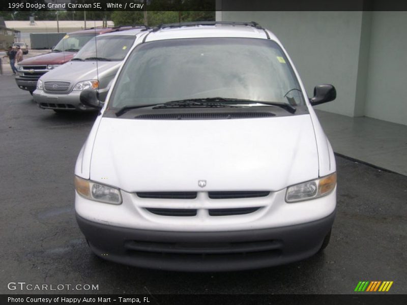 White / Gray 1996 Dodge Grand Caravan SE