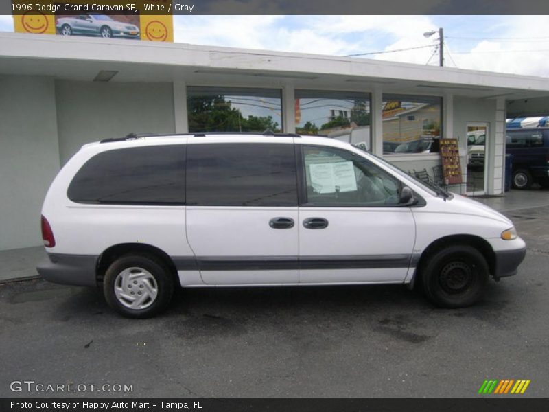 White / Gray 1996 Dodge Grand Caravan SE