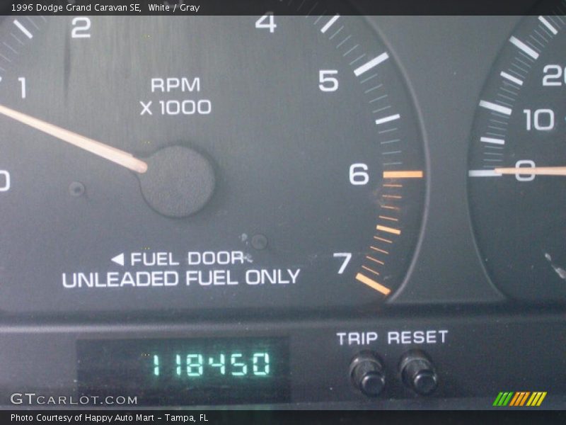 White / Gray 1996 Dodge Grand Caravan SE