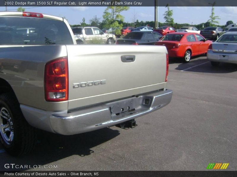 Light Almond Pearl / Dark Slate Gray 2002 Dodge Ram 1500 SLT Regular Cab