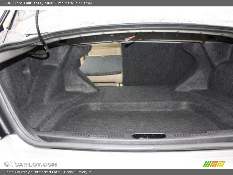 Silver Birch Metallic / Camel 2008 Ford Taurus SEL