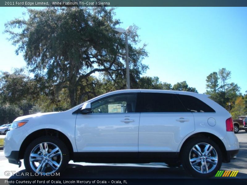 White Platinum Tri-Coat / Sienna 2011 Ford Edge Limited