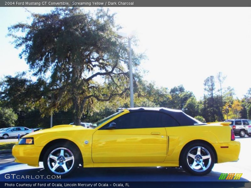 Screaming Yellow / Dark Charcoal 2004 Ford Mustang GT Convertible