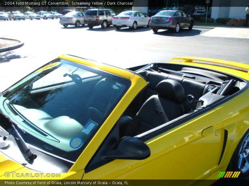 Screaming Yellow / Dark Charcoal 2004 Ford Mustang GT Convertible
