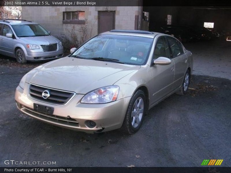 Velvet Beige / Blond Beige 2002 Nissan Altima 2.5 SL