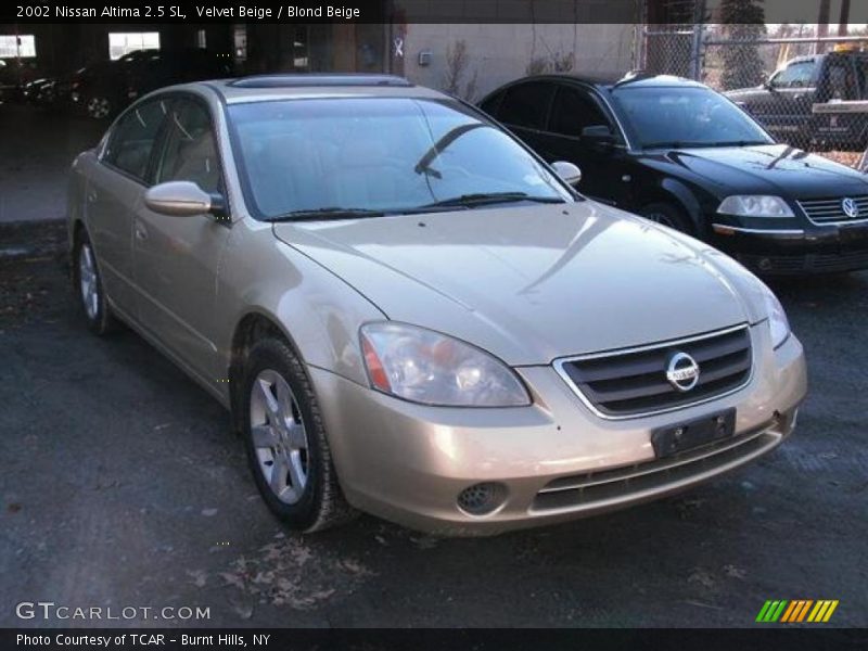 Velvet Beige / Blond Beige 2002 Nissan Altima 2.5 SL
