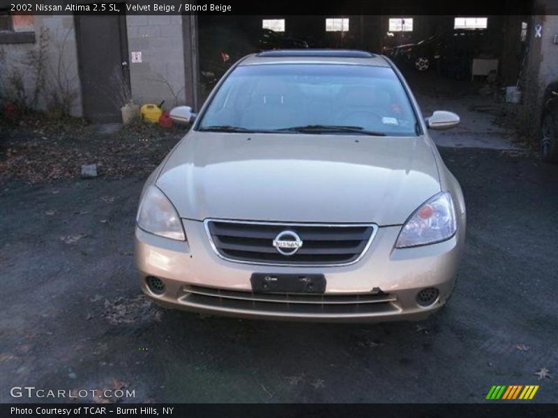 Velvet Beige / Blond Beige 2002 Nissan Altima 2.5 SL