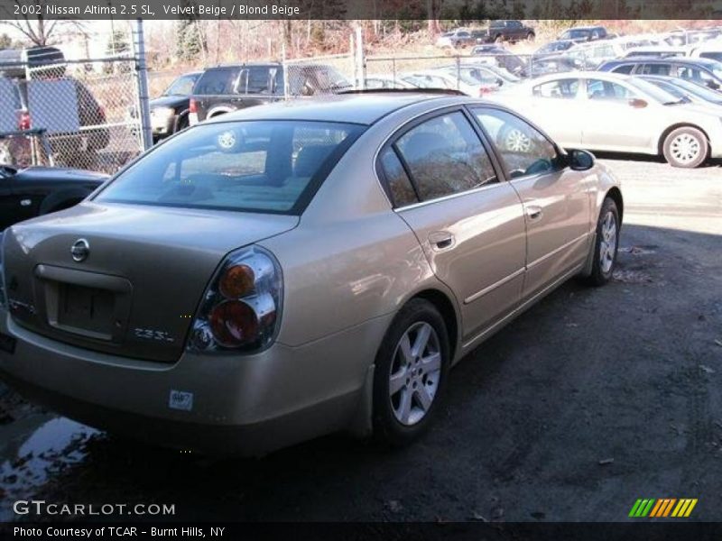 Velvet Beige / Blond Beige 2002 Nissan Altima 2.5 SL