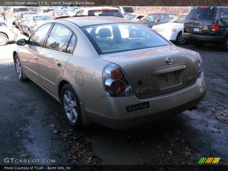 Velvet Beige / Blond Beige 2002 Nissan Altima 2.5 SL