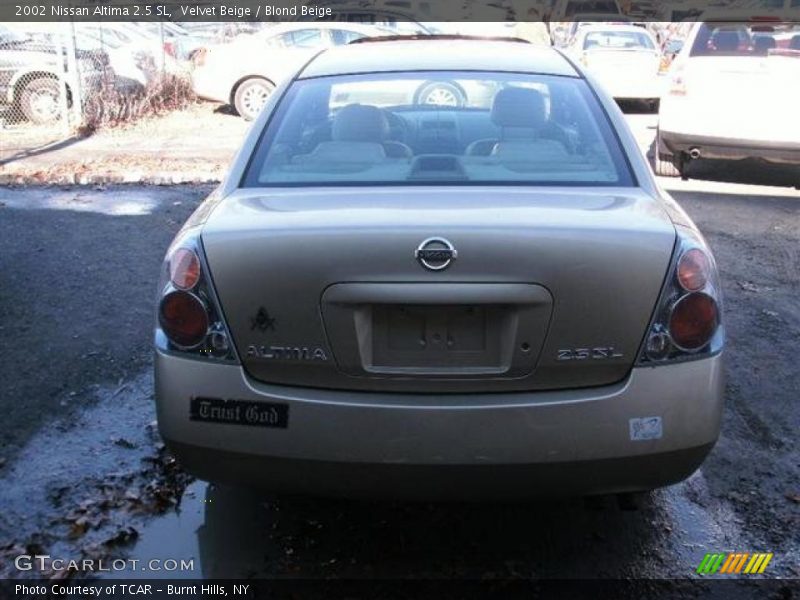 Velvet Beige / Blond Beige 2002 Nissan Altima 2.5 SL