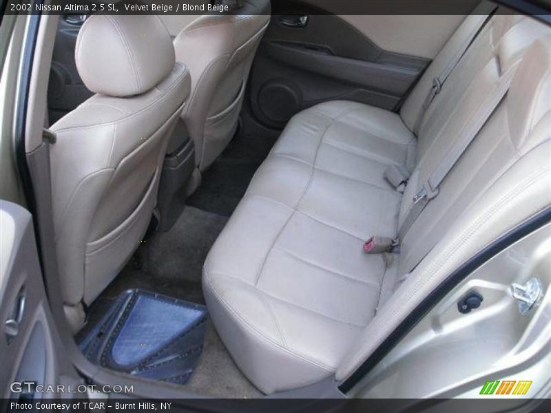 Velvet Beige / Blond Beige 2002 Nissan Altima 2.5 SL