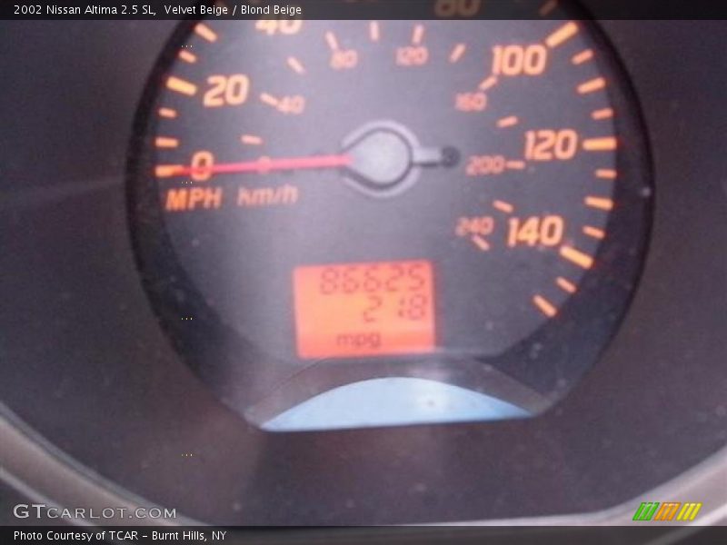 Velvet Beige / Blond Beige 2002 Nissan Altima 2.5 SL