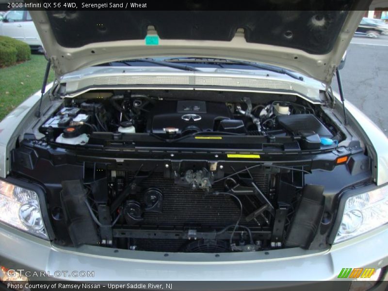Serengeti Sand / Wheat 2008 Infiniti QX 56 4WD