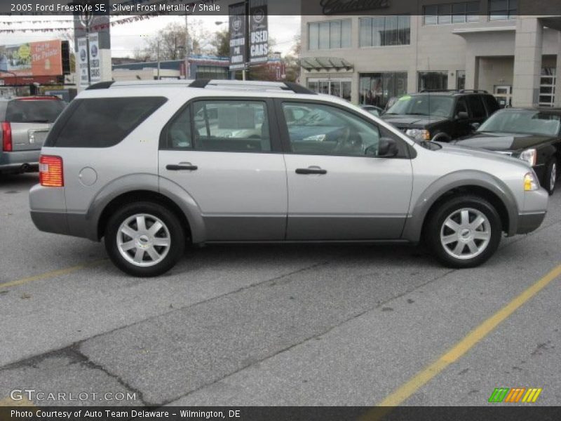  2005 Freestyle SE Silver Frost Metallic