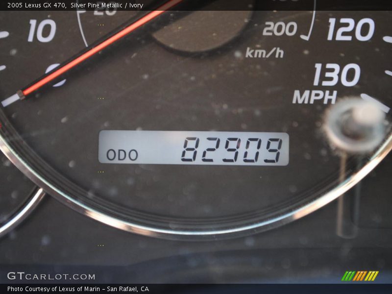 Silver Pine Metallic / Ivory 2005 Lexus GX 470