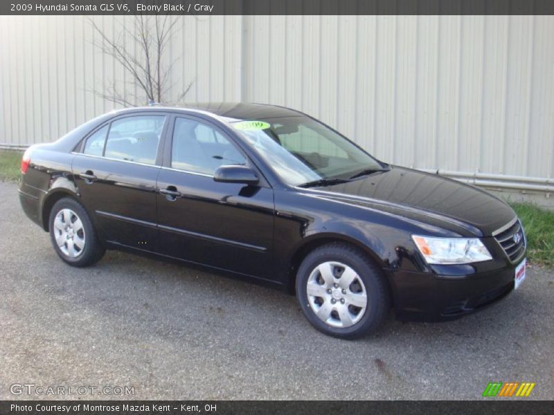 Ebony Black / Gray 2009 Hyundai Sonata GLS V6
